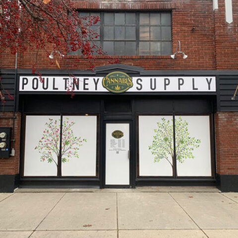 Window Graphics & Installations